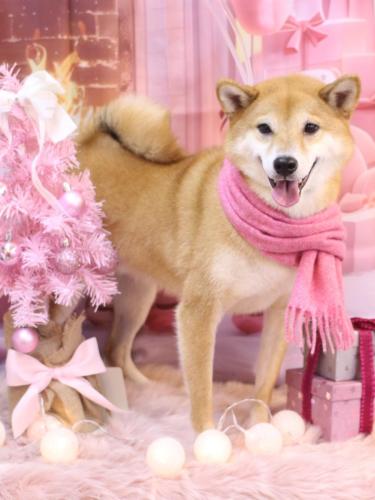 20241229シュウくん